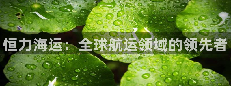公海赌博怎么处理