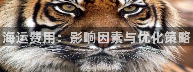 公海赌船贴吧