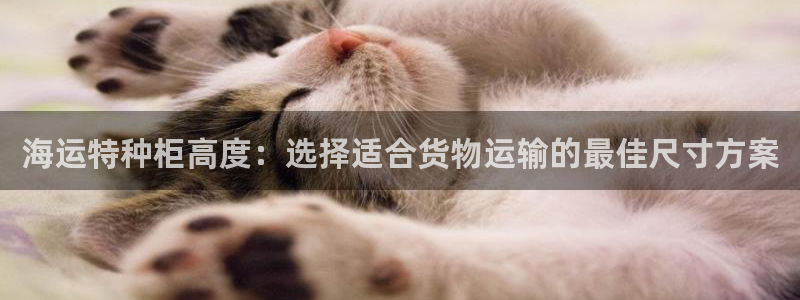 欢迎来公海欢迎来到赌船