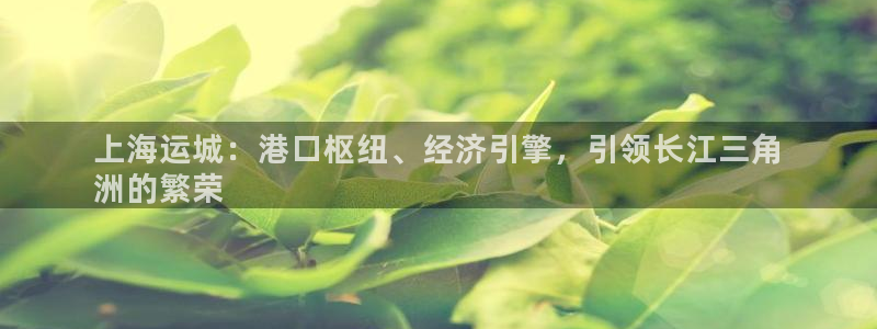 公海赌船网页